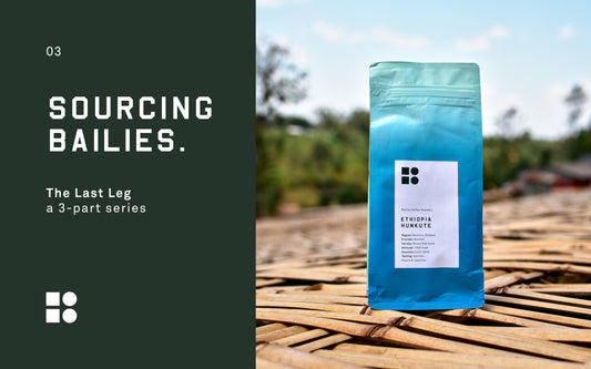 Sourcing Bailies: The Last Leg