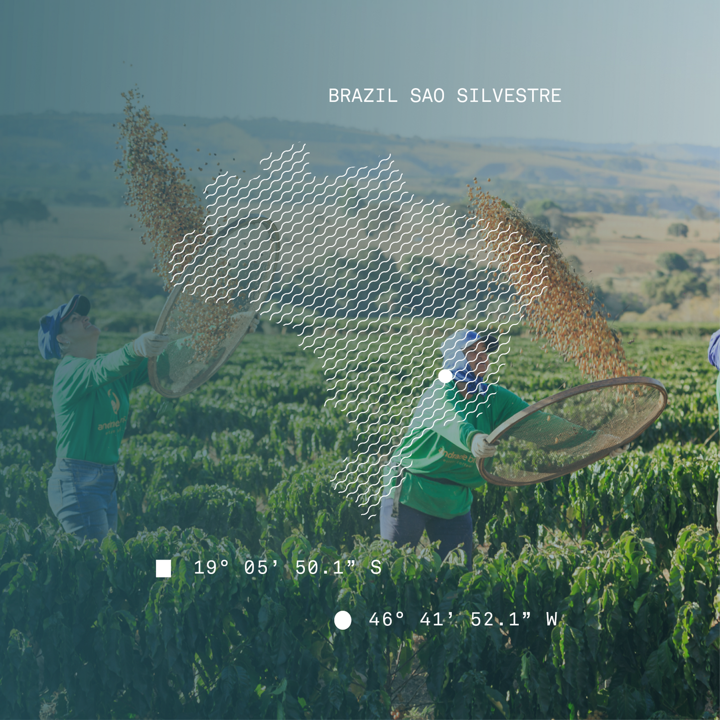 Brazil Sao Silvestre Natural Single Origin