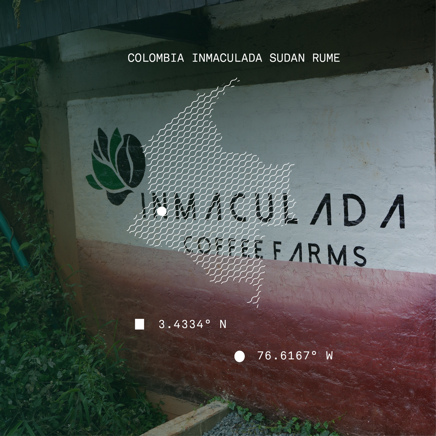 Colombia Inmaculada Sudan Rume Natural Microlot
