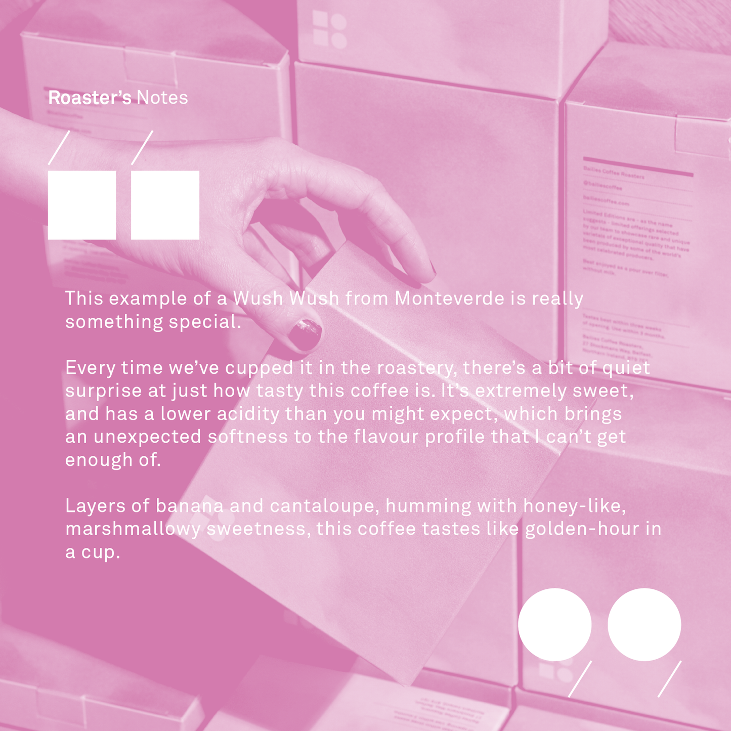 Colombia Monteverde Wush Wush | Limited Edition Microlot