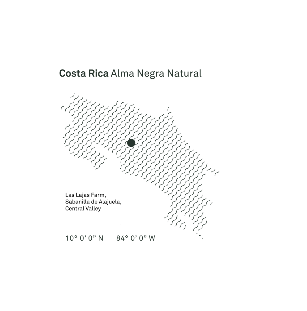 Costa Rica Alma Negra Natural Microlot