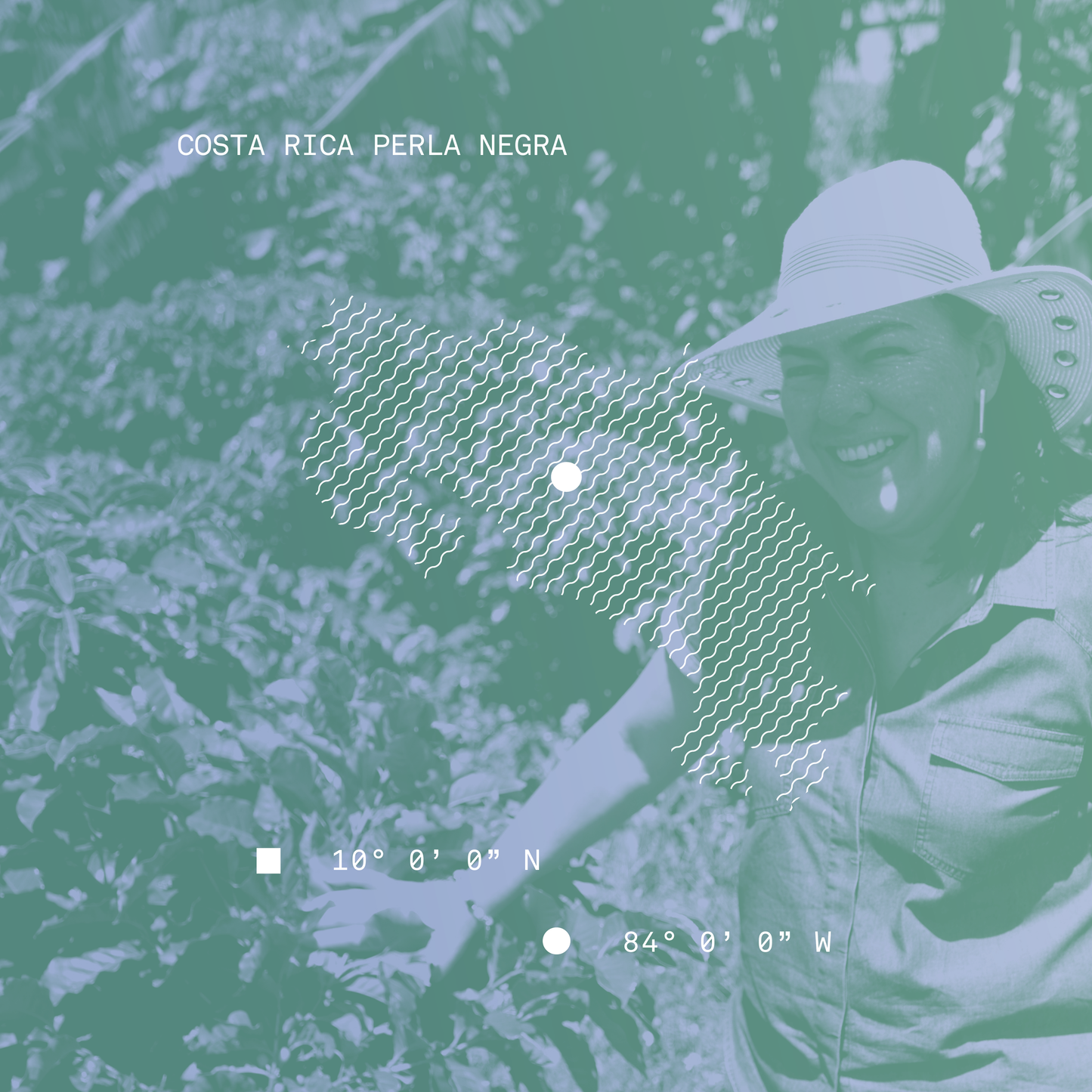 Costa Rica Perla Negra Natural Microlot