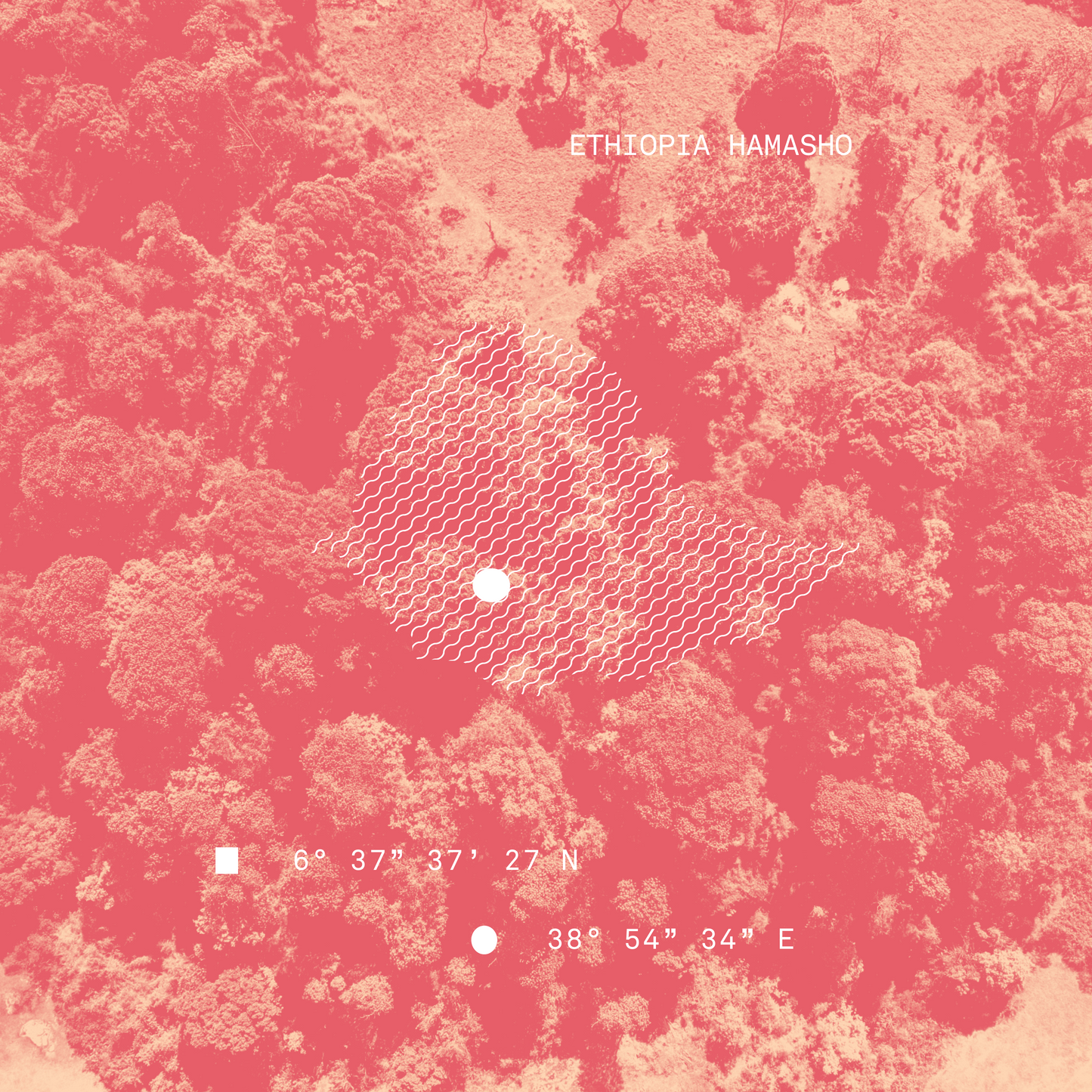 Ethiopia Hamasho Natural Microlot