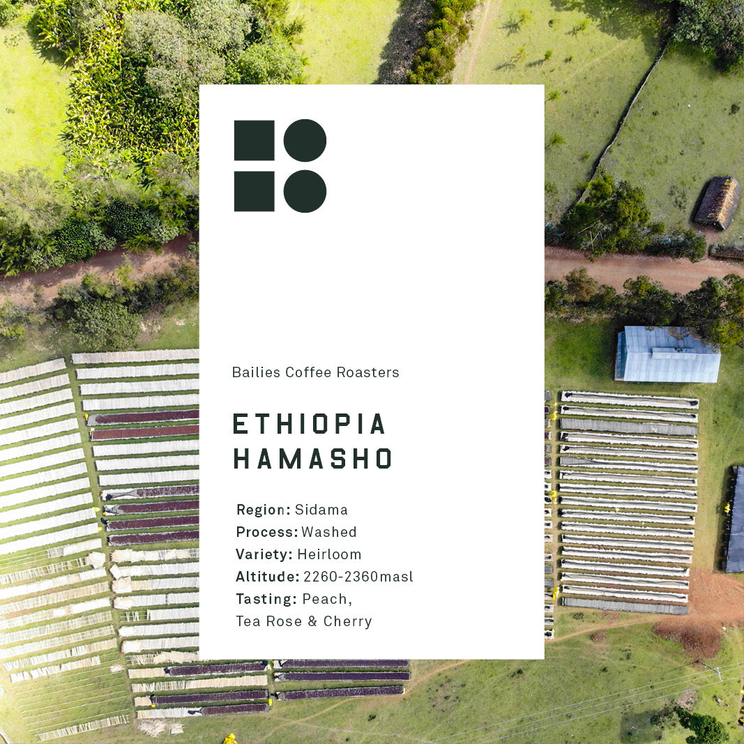 Ethiopia Hamasho Daye Bensa Microlot