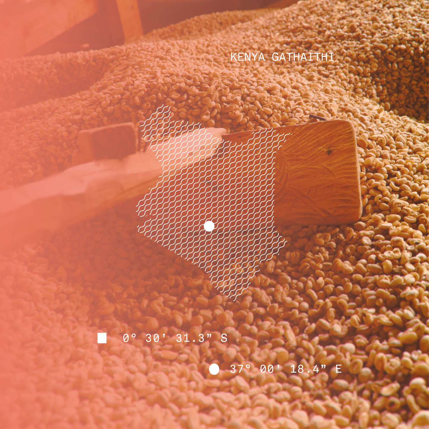 Kenya Gathaithi Washed Microlot