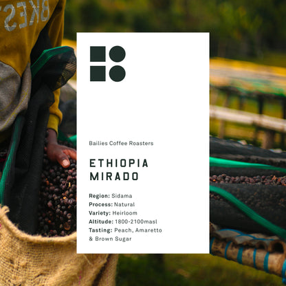 Ethiopia Mirado Natural Single Origin