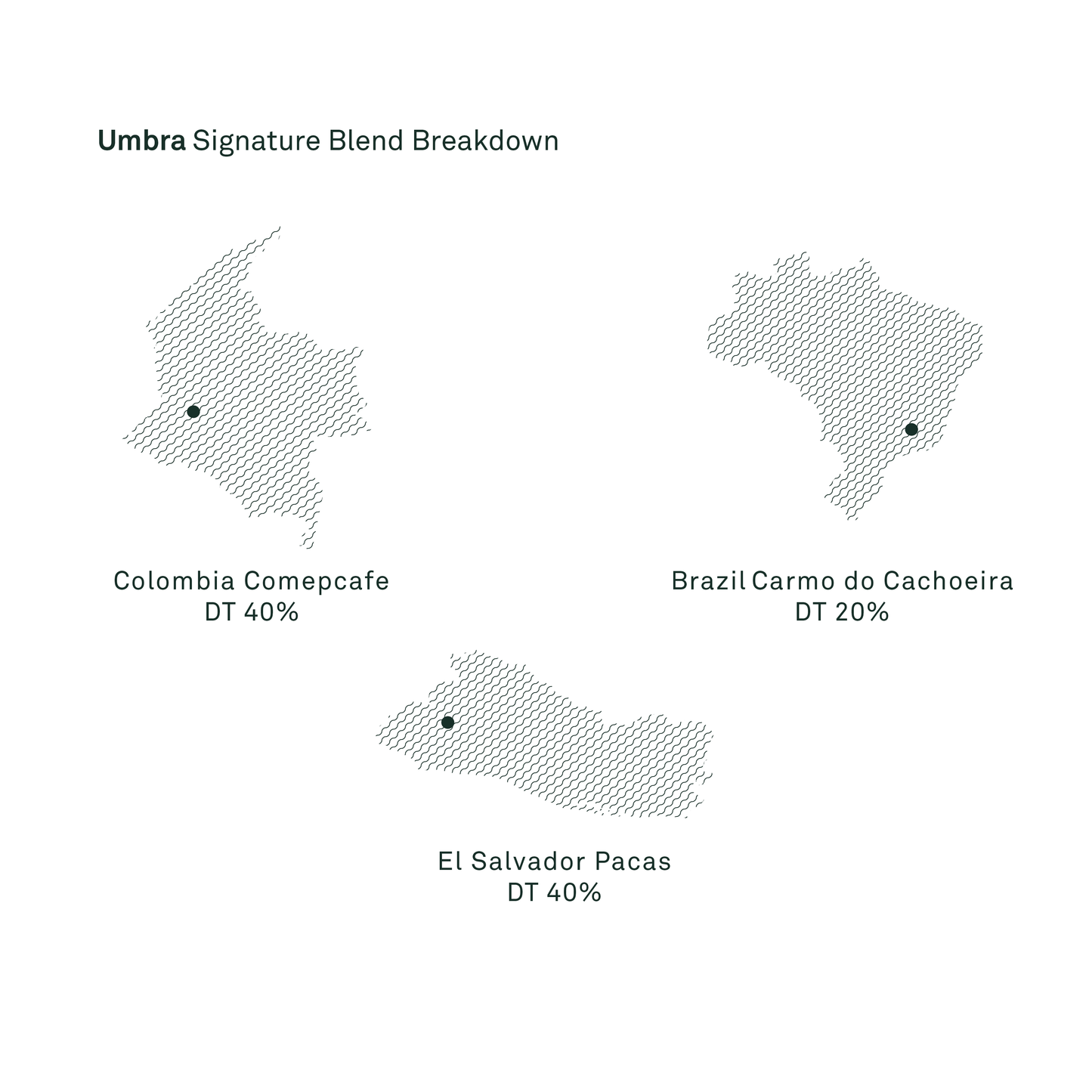 Umbra Signature Blend - Bailies Coffee Roasters