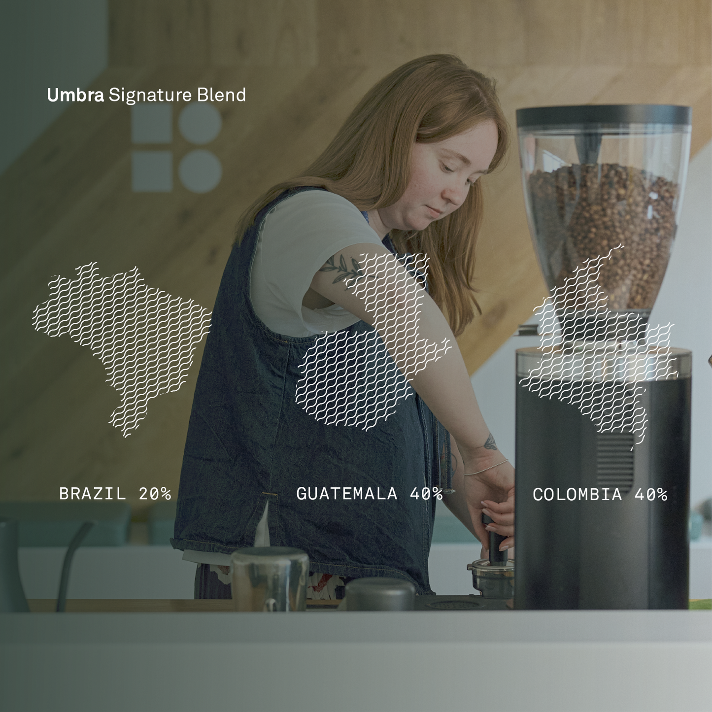 Umbra Signature Blend - Bailies Coffee Roasters