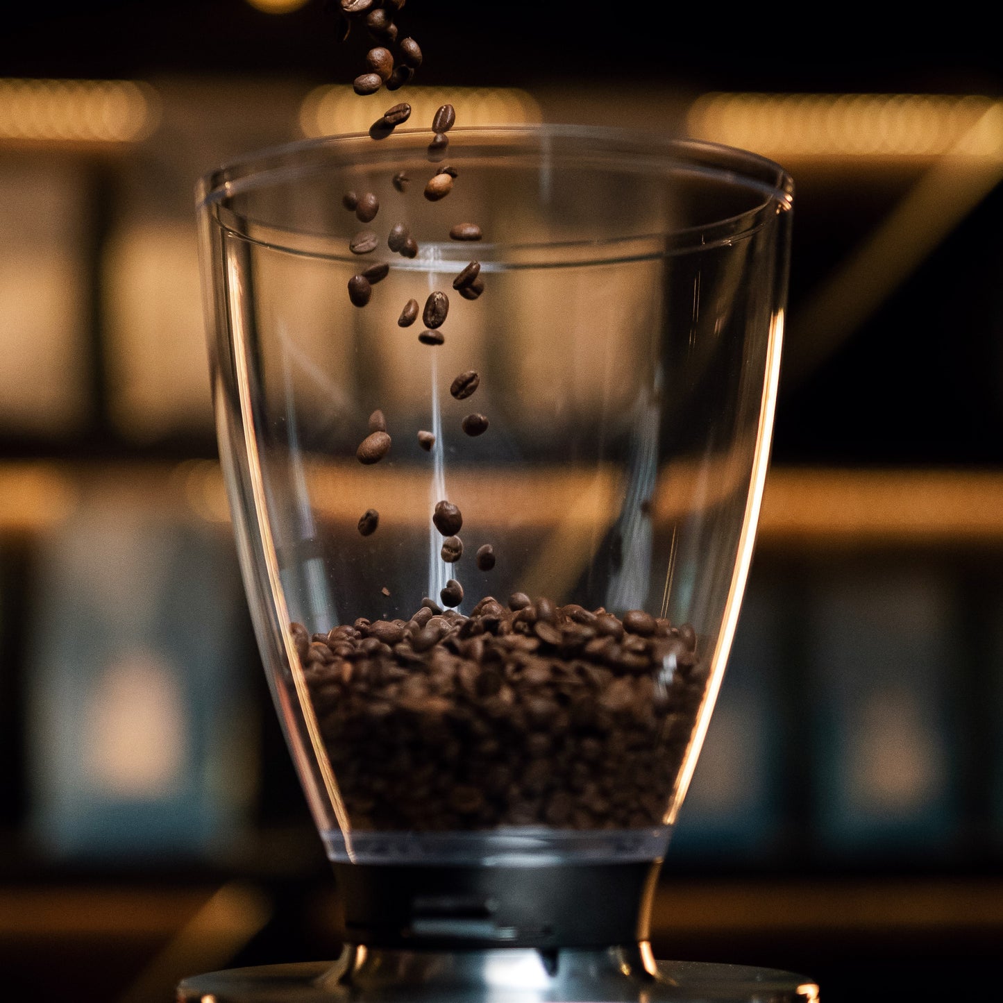 SCA Brewing & Grinding Foundation