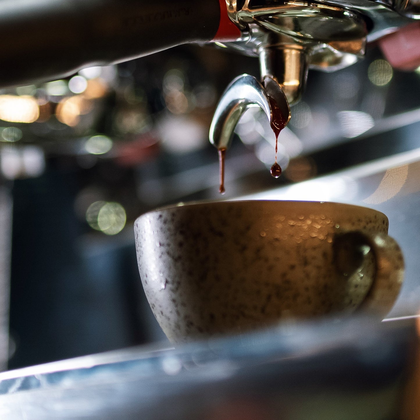 SCA Brewing & Grinding Foundation