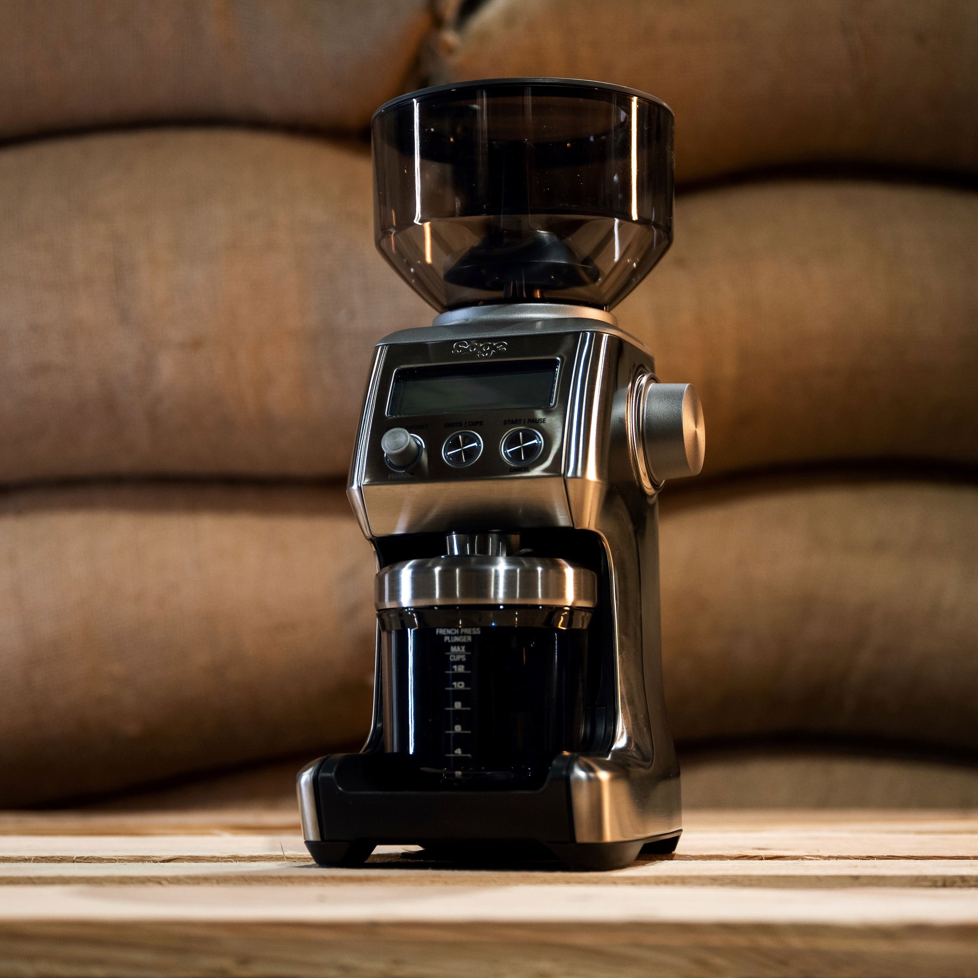 Sage pro grinder set against green coffee bags