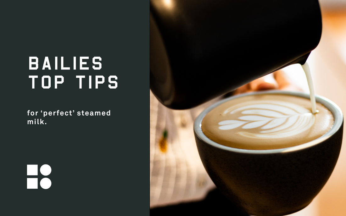 5 Top Tips for Perfect Steamed Milk