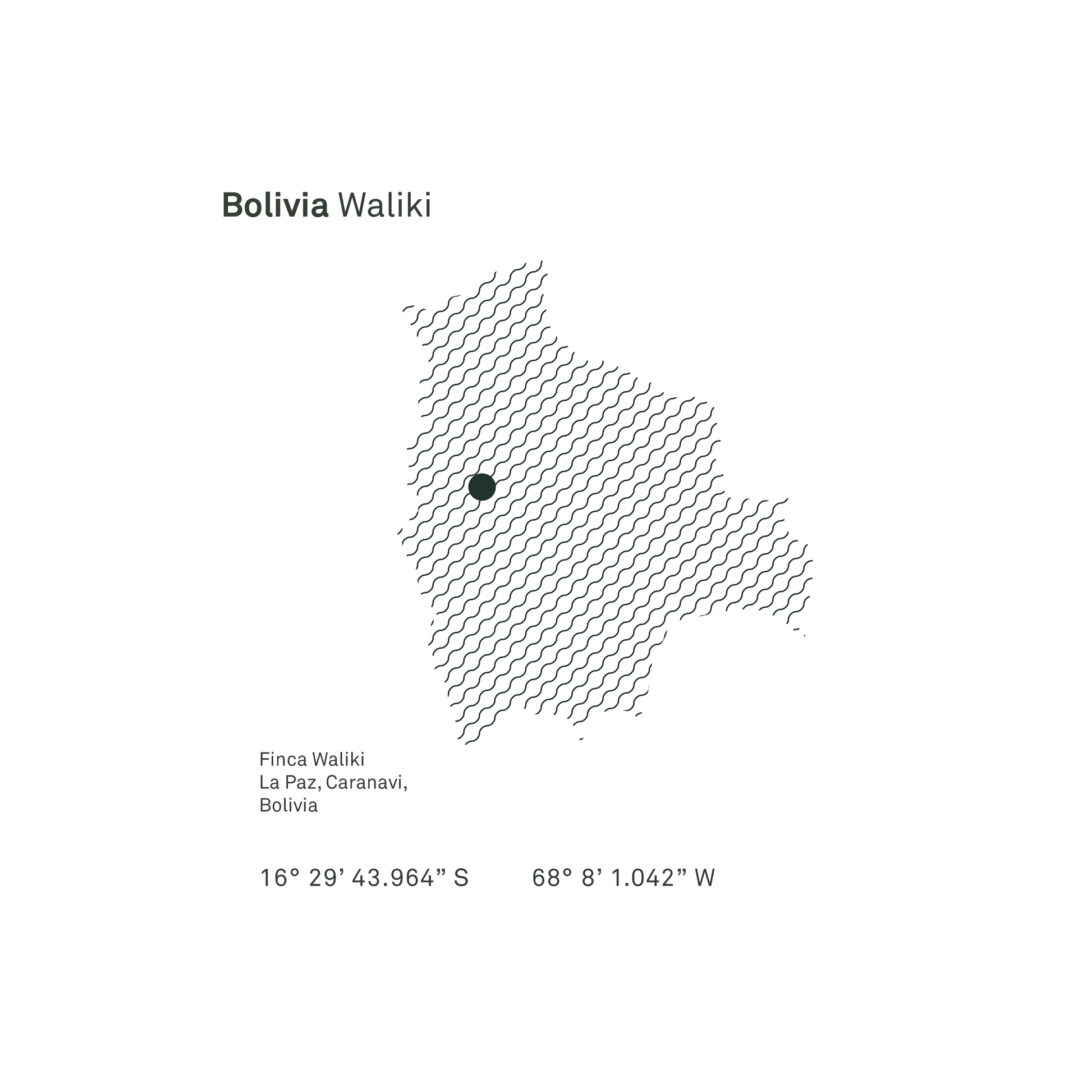 Bolivia Waliki Washed - Bailies Coffee Roasters