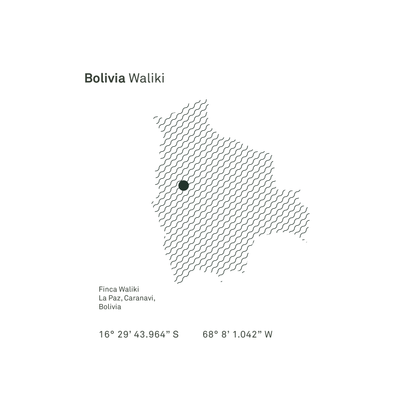 Bolivia Waliki Washed - Bailies Coffee Roasters