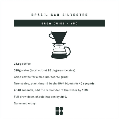 Brazil Sao Silvestre Anaerobic Microlot