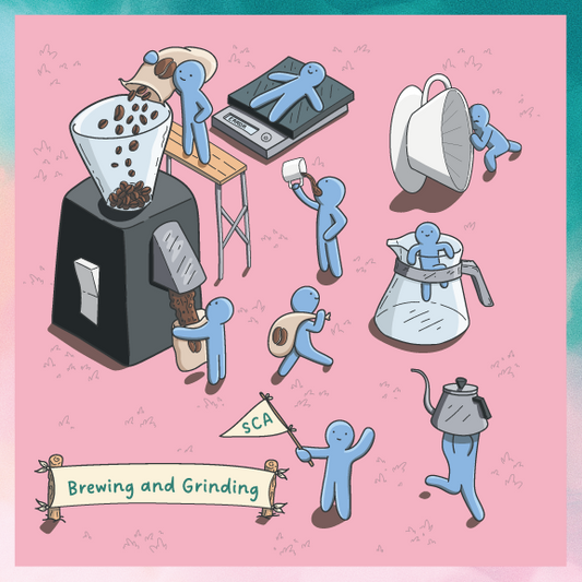 SCA Brewing & Grinding Foundation - Bailies Coffee Roasters