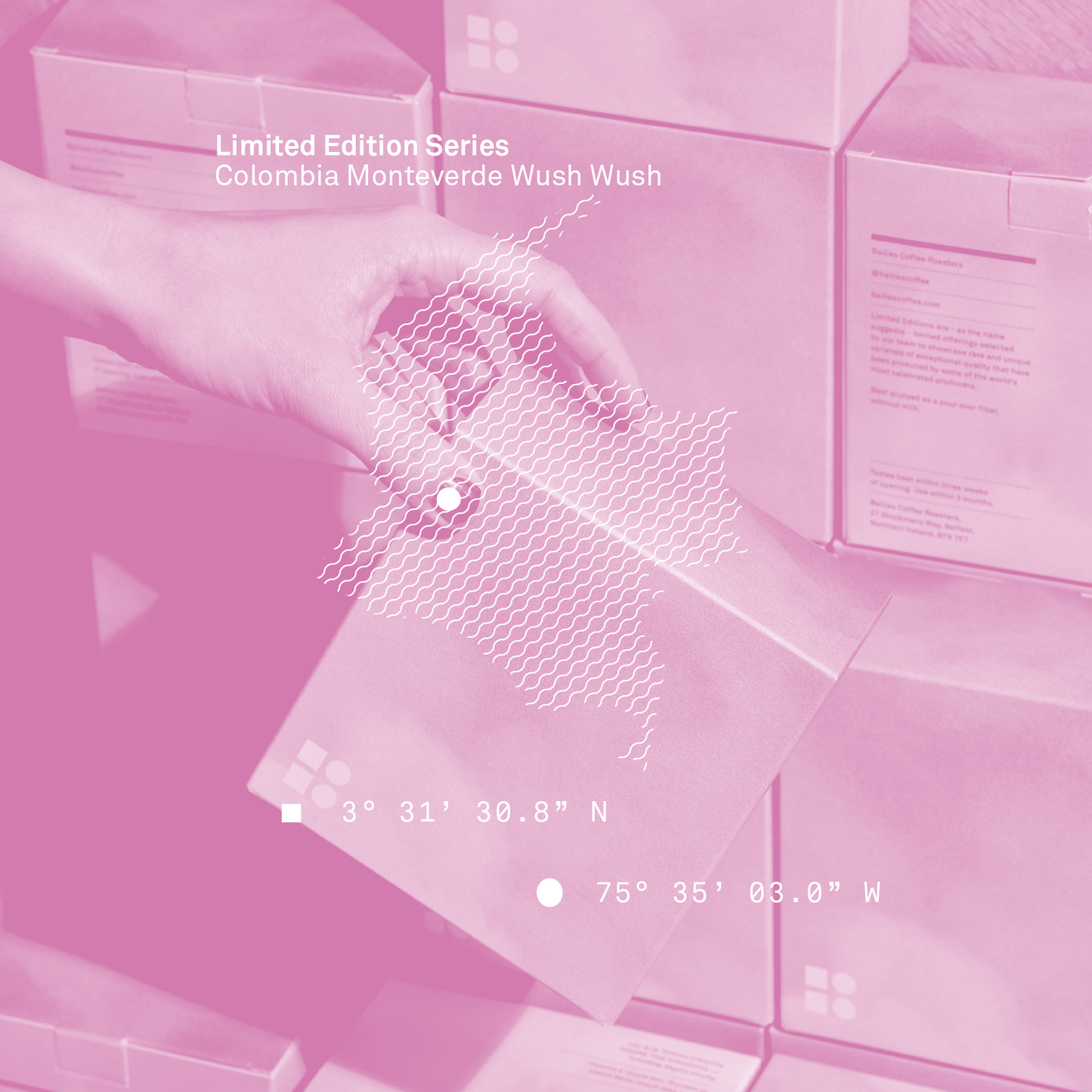 Colombia Monteverde Wush Wush | Limited Edition Microlot