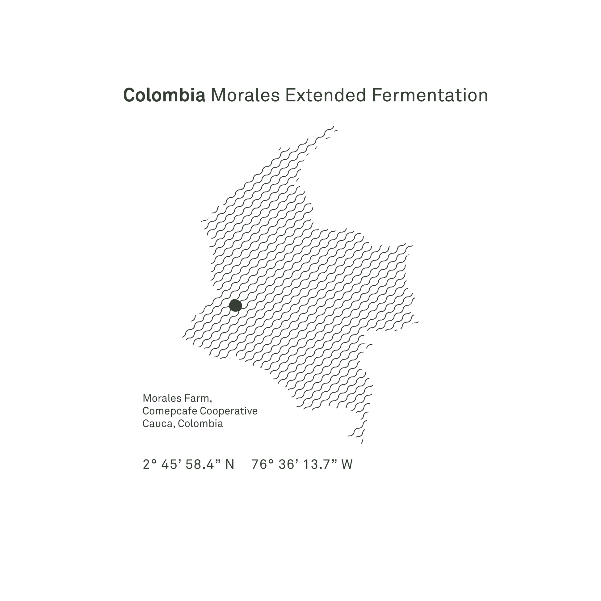 Colombia Morales Washed Microlot - Bailies Coffee Roasters