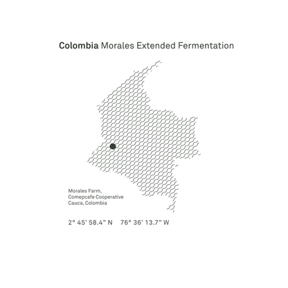 Colombia Morales Washed Microlot - Bailies Coffee Roasters