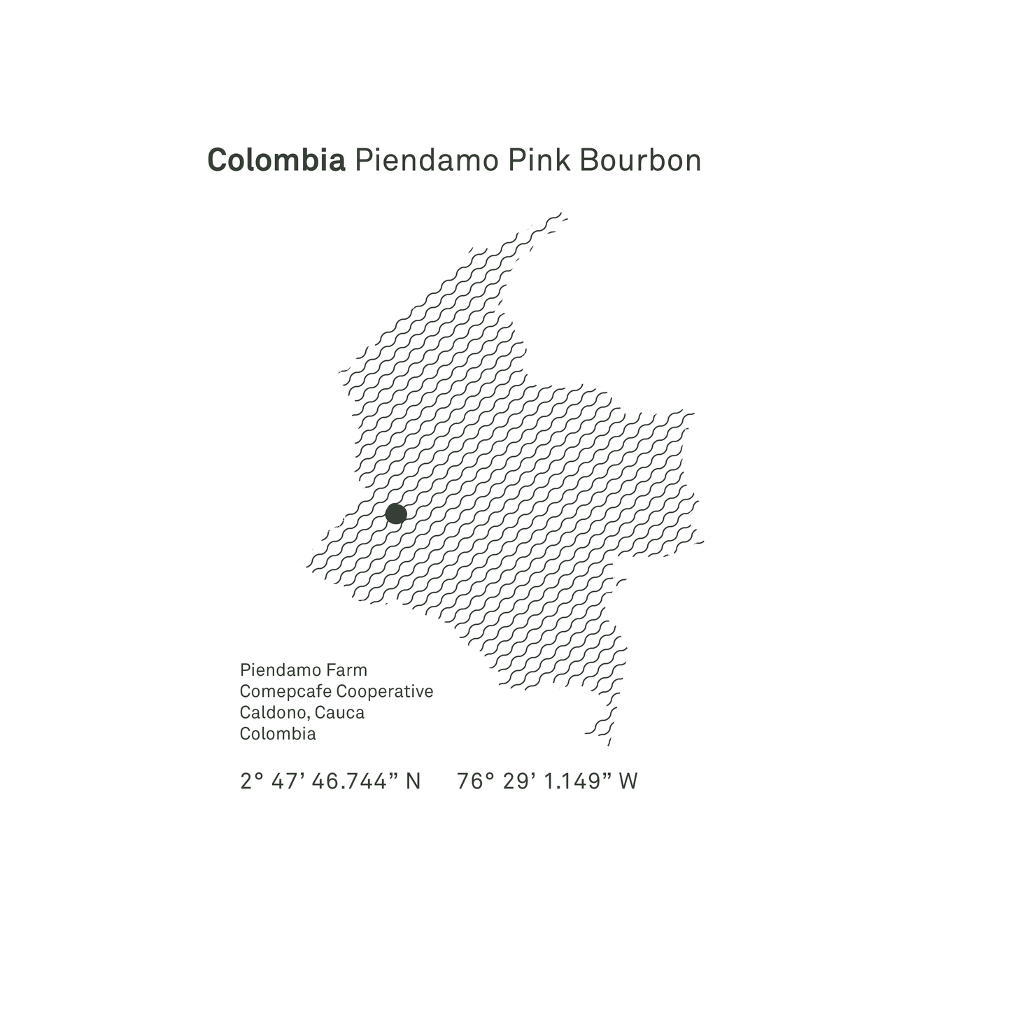 Colombia Piendamo Pink Bourbon