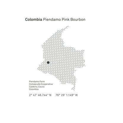 Colombia Piendamo Pink Bourbon