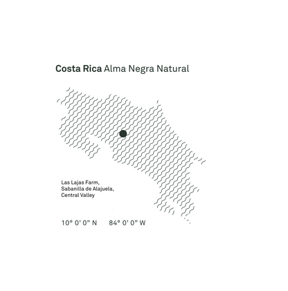 Costa Rica Alma Negra Natural Microlot