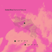 Costa Rica Diamond - Bailies Coffee Roasters