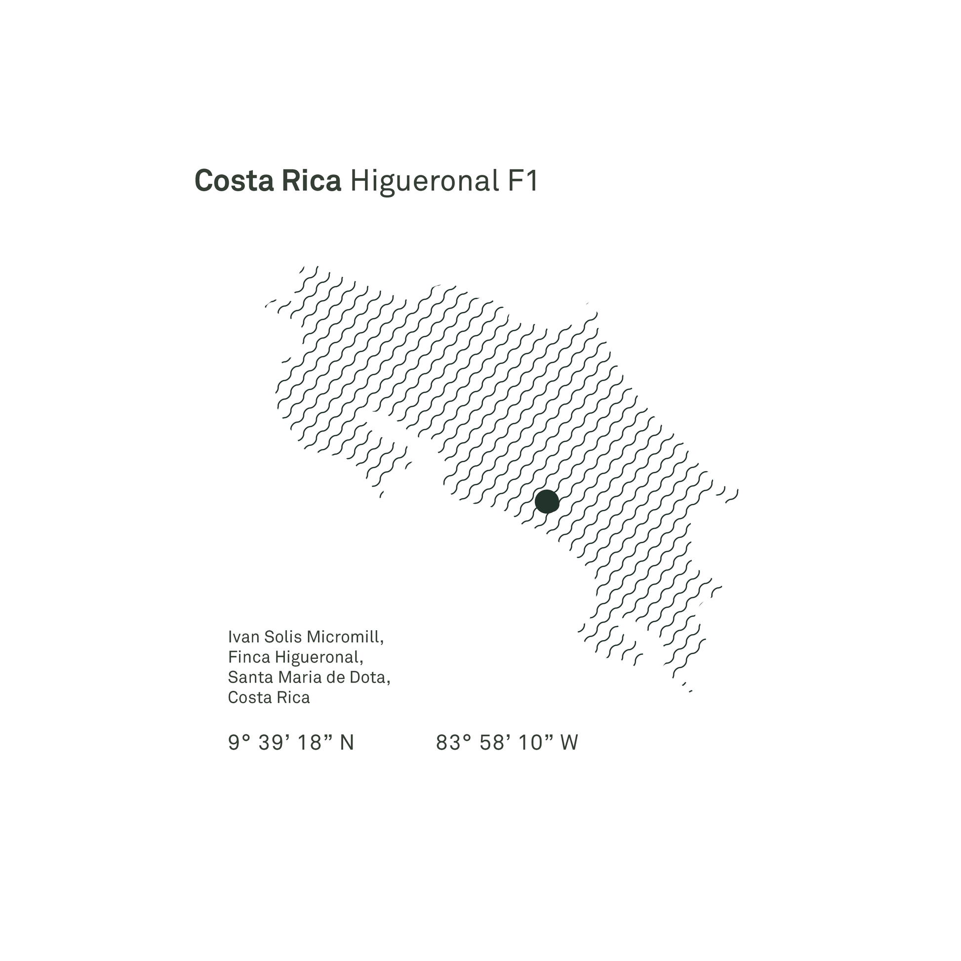 Costa Rica Higueronal F1 Anaerobic Natural Microlot - Bailies Coffee Roasters