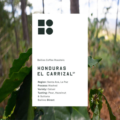 Honduras El Carrizal Washed Microlot