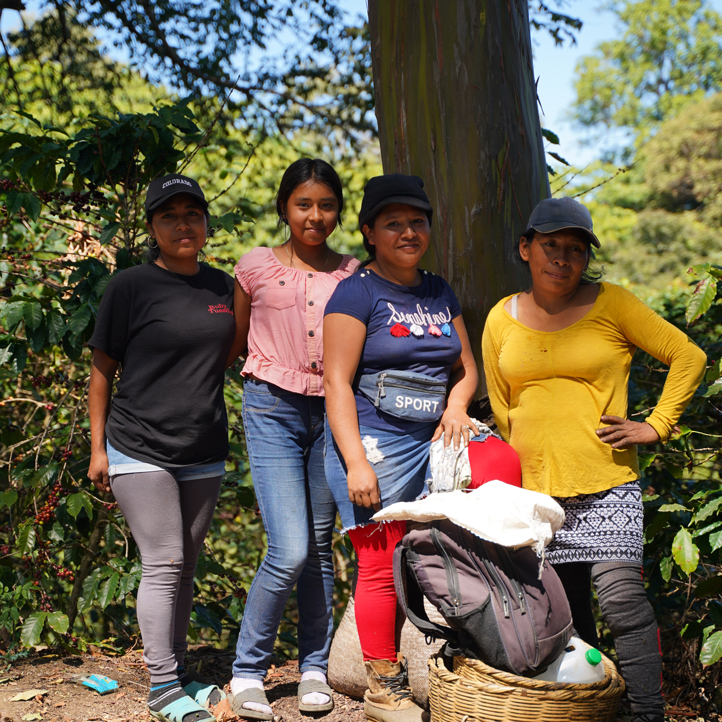 El Salvador Pacas Washed Single Origin - Bailies Coffee Roasters