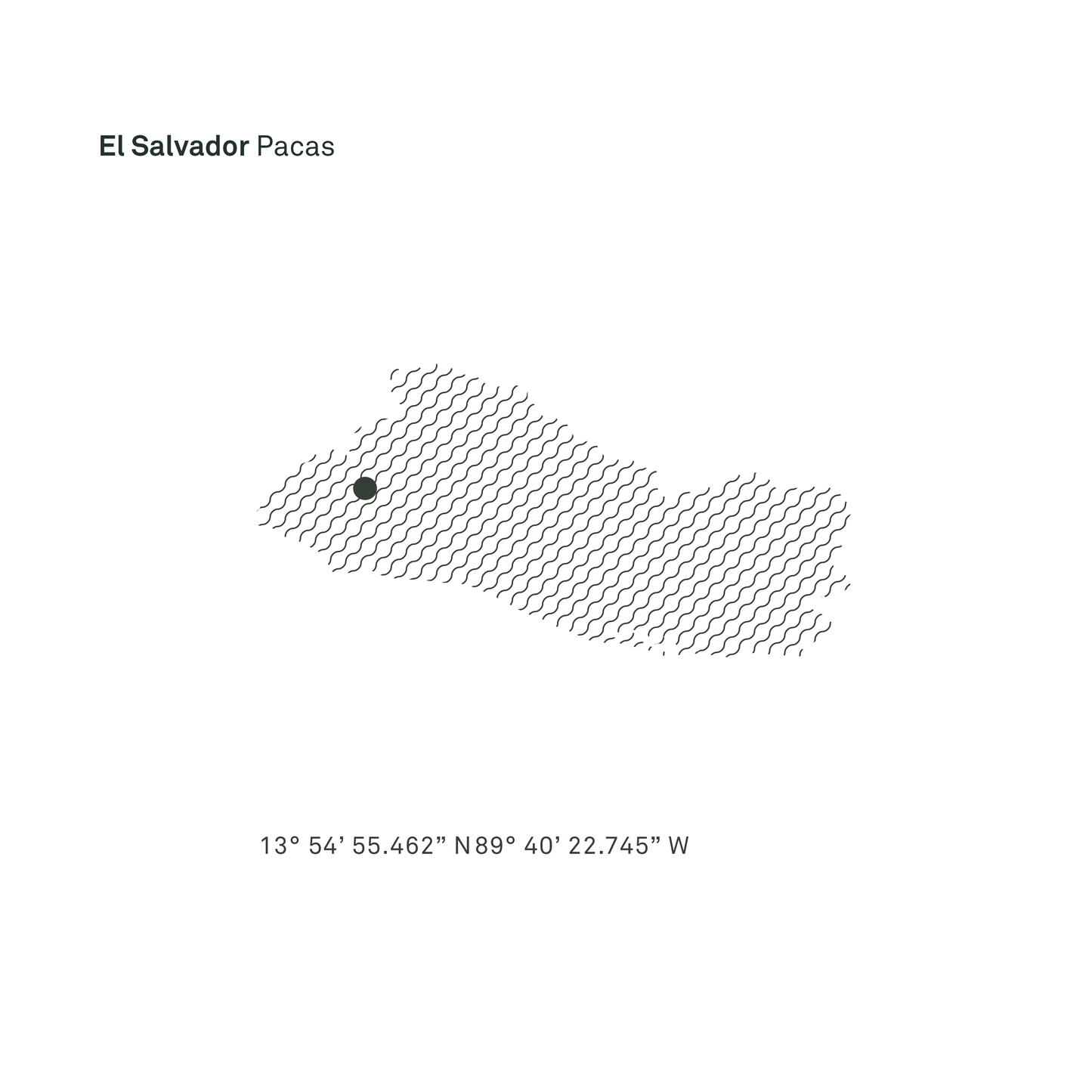 El Salvador Pacas Washed Single Origin