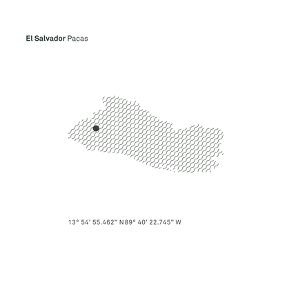 El Salvador Pacas Washed Single Origin