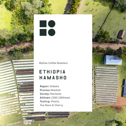 Ethiopia Hamasho Daye Bensa Microlot