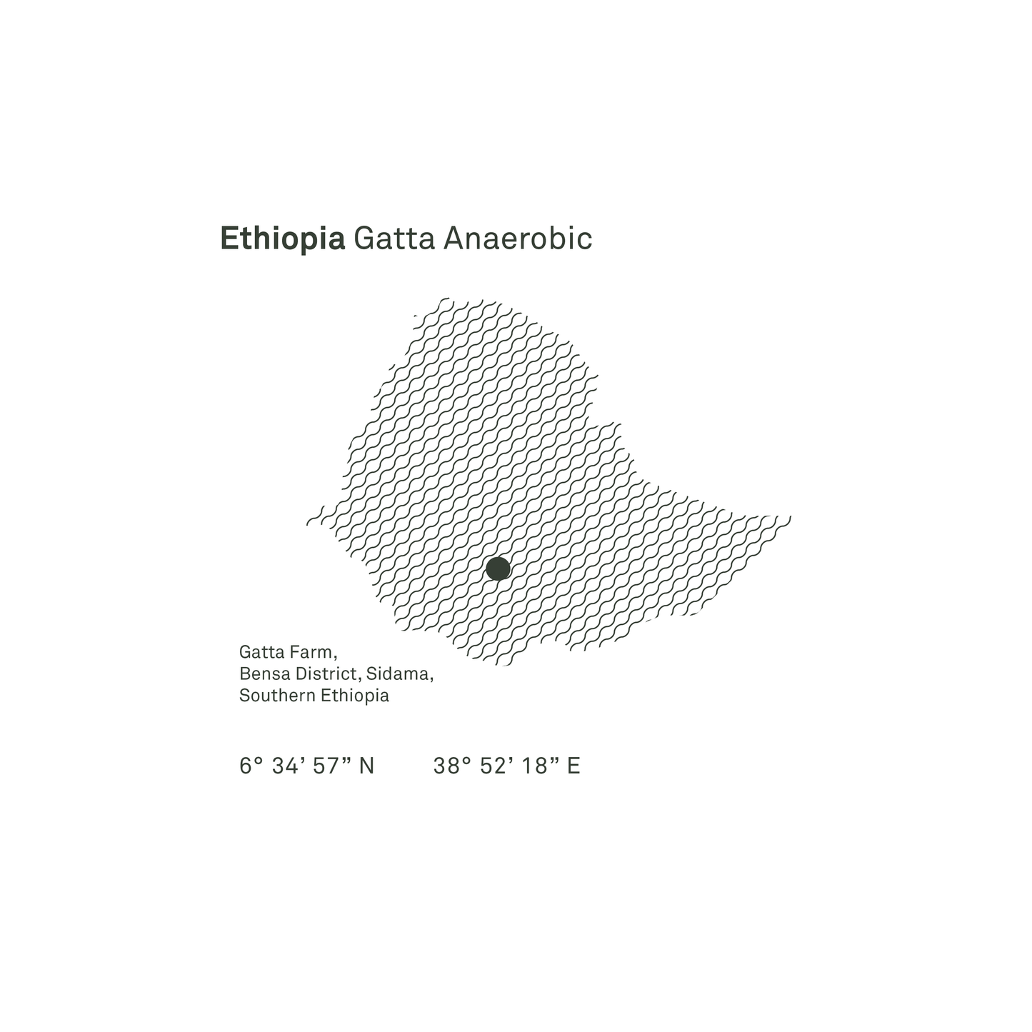Ethiopia Gatta Anaerobic Microlot