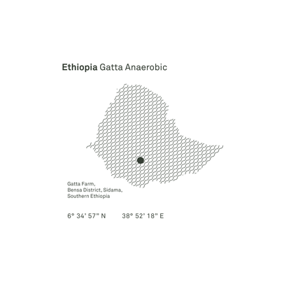 Ethiopia Gatta Anaerobic Microlot