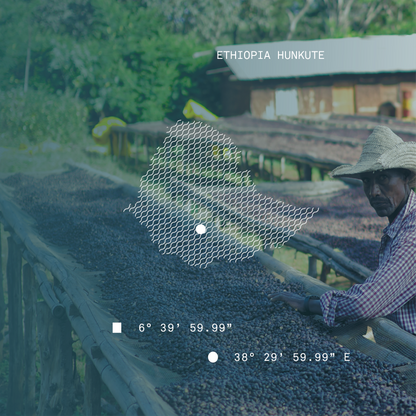 Ethiopia Hunkute Washed Single Origin