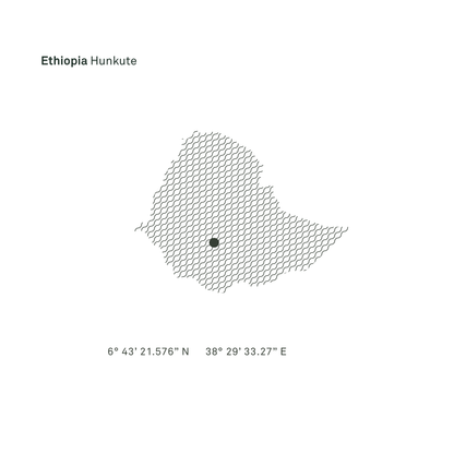 Ethiopia Hunkute Washed Single Origin