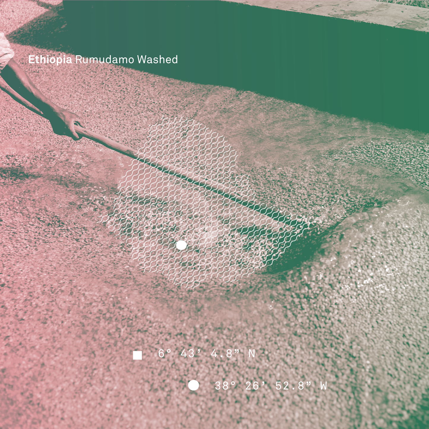 Ethiopia Rumudamo Washed Microlot - Bailies Coffee Roasters