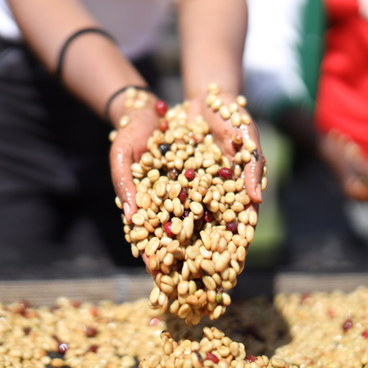 Ethiopia Wasa Natural