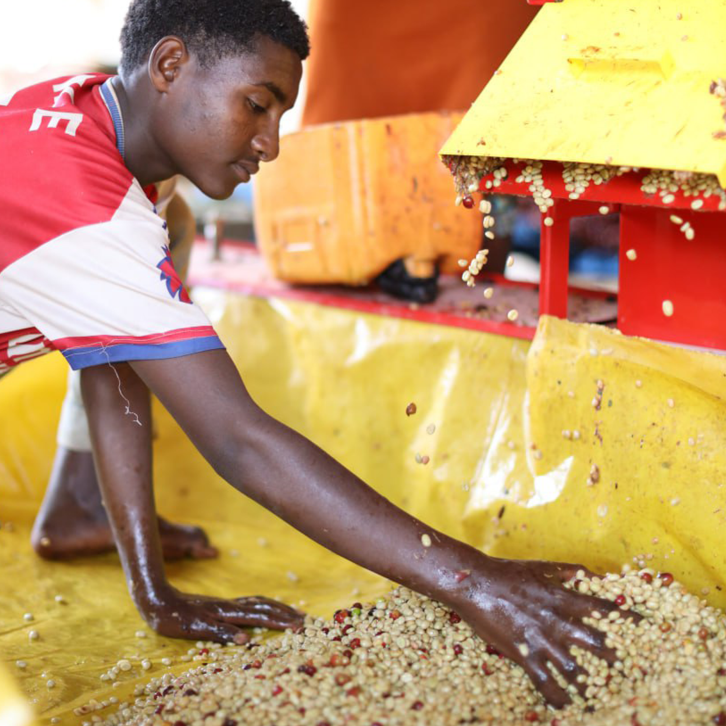 Ethiopia Wasa Natural