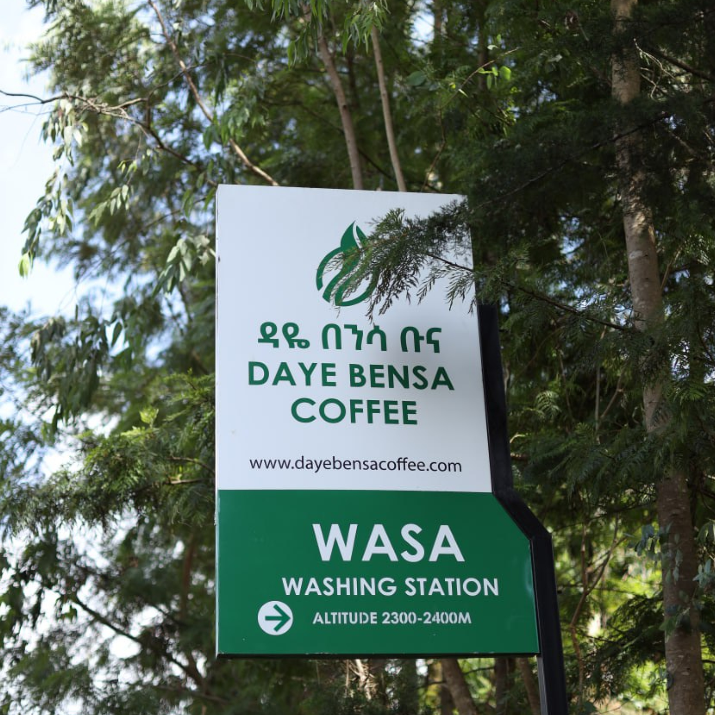 Ethiopia Wasa Natural