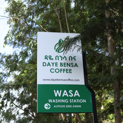 Ethiopia Wasa Natural