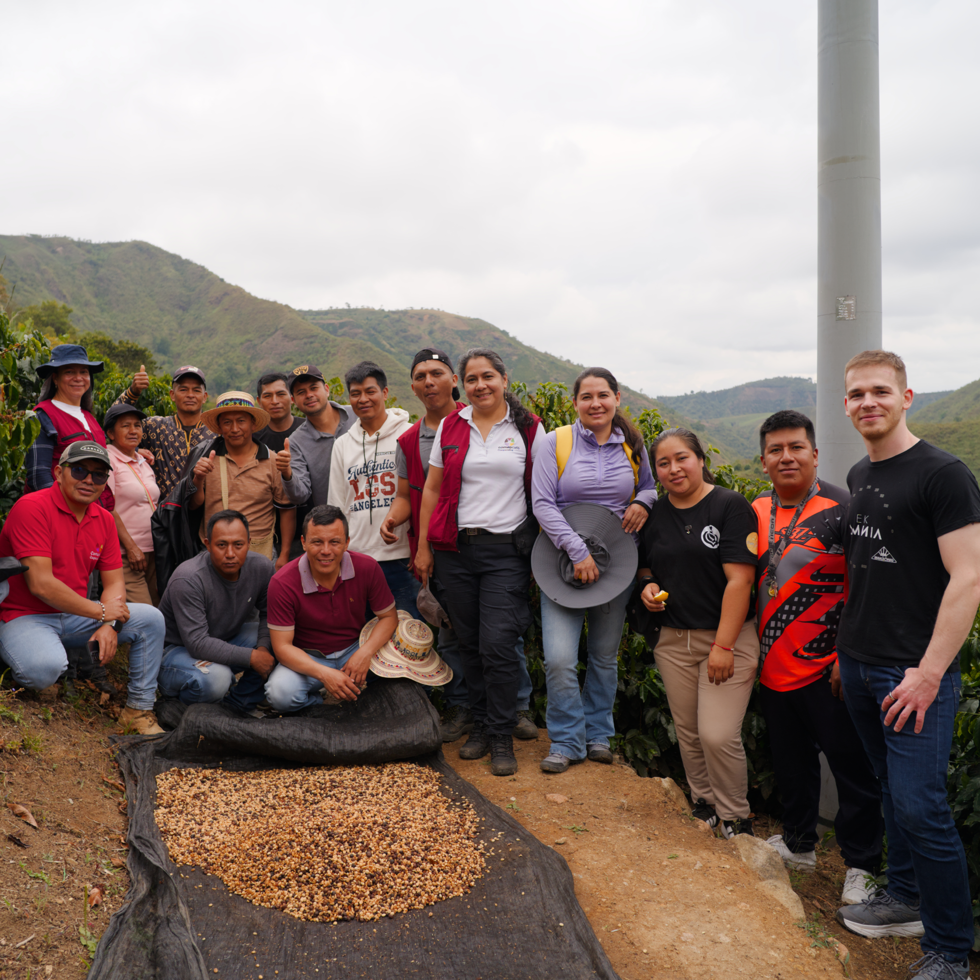 Colombia Comepcafe Washed Single Origin - Bailies Coffee Roasters