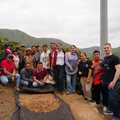 Colombia Comepcafe Washed Single Origin - Bailies Coffee Roasters