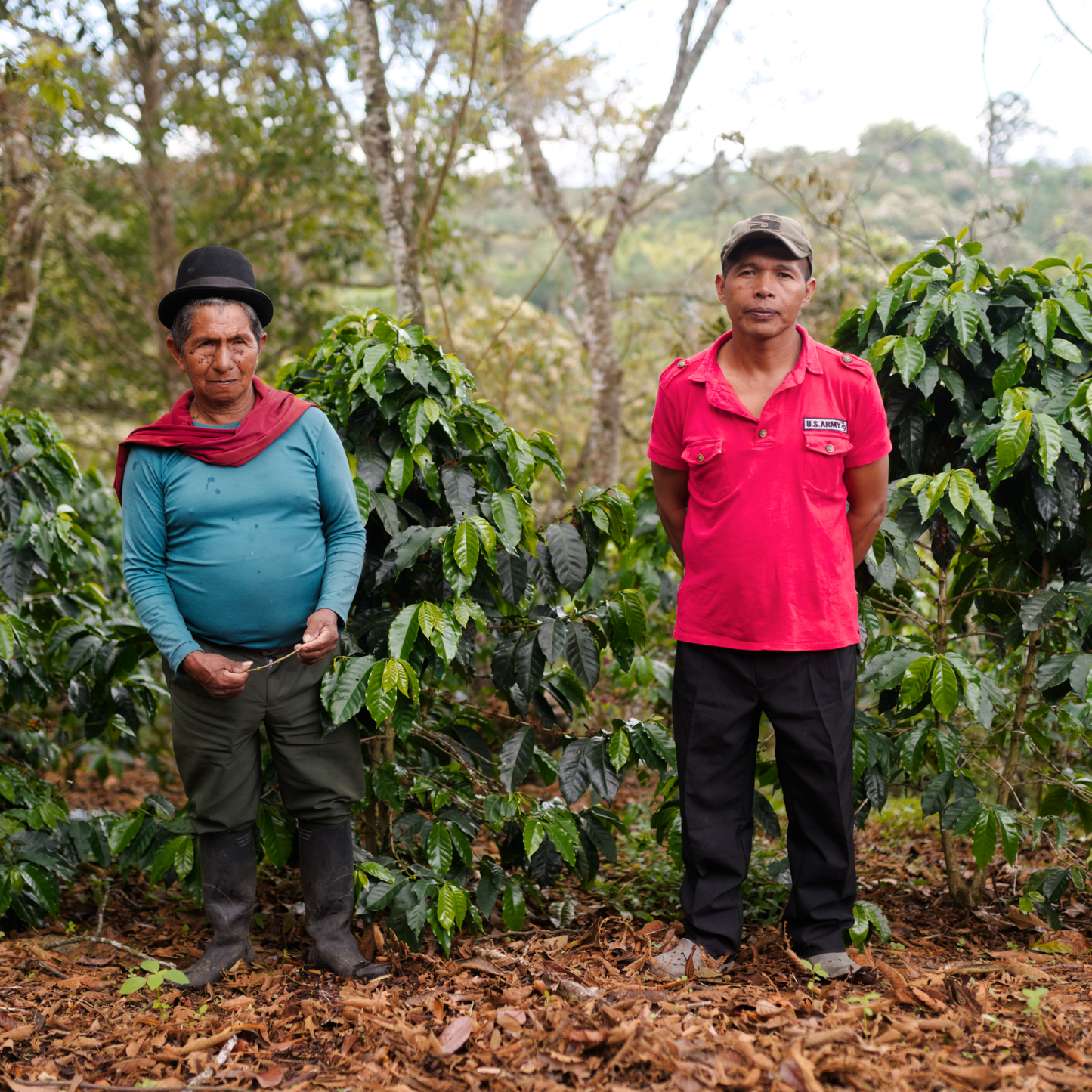 Colombia Comepcafe Washed Single Origin - Bailies Coffee Roasters