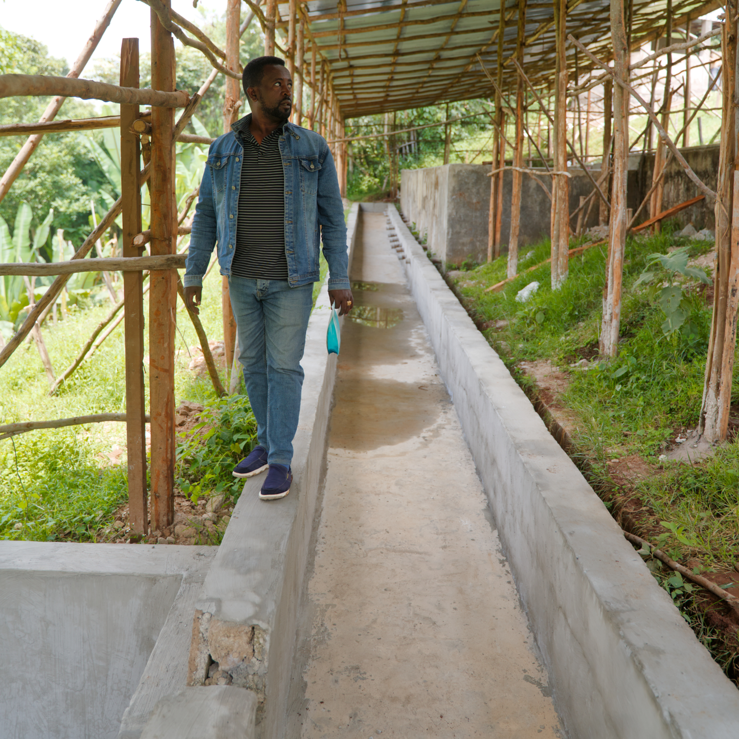 Ethiopia Hunkute Washed Single Origin - Bailies Coffee Roasters