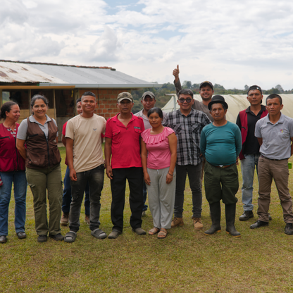 Colombia Comepcafe Washed Single Origin - Bailies Coffee Roasters