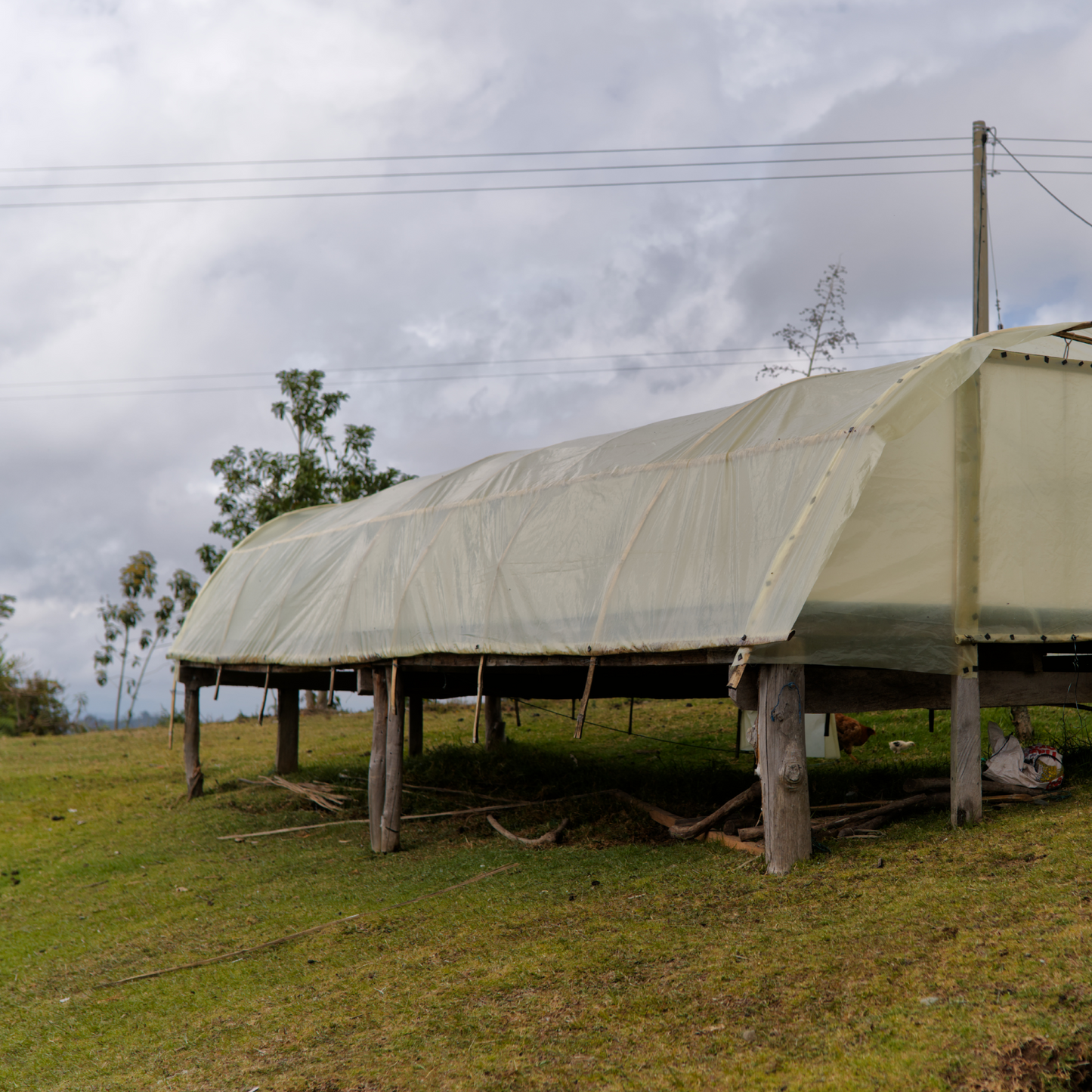 Colombia Morales Washed Microlot - Bailies Coffee Roasters