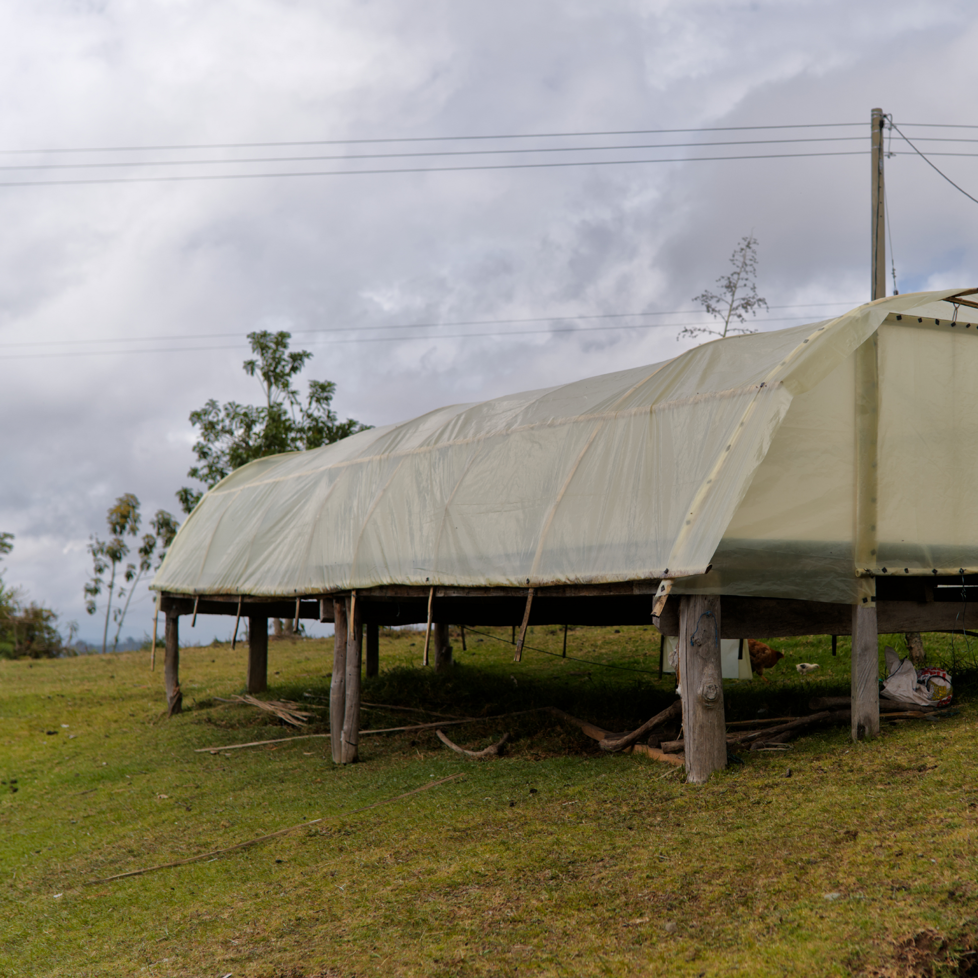 Colombia Morales Washed Microlot - Bailies Coffee Roasters