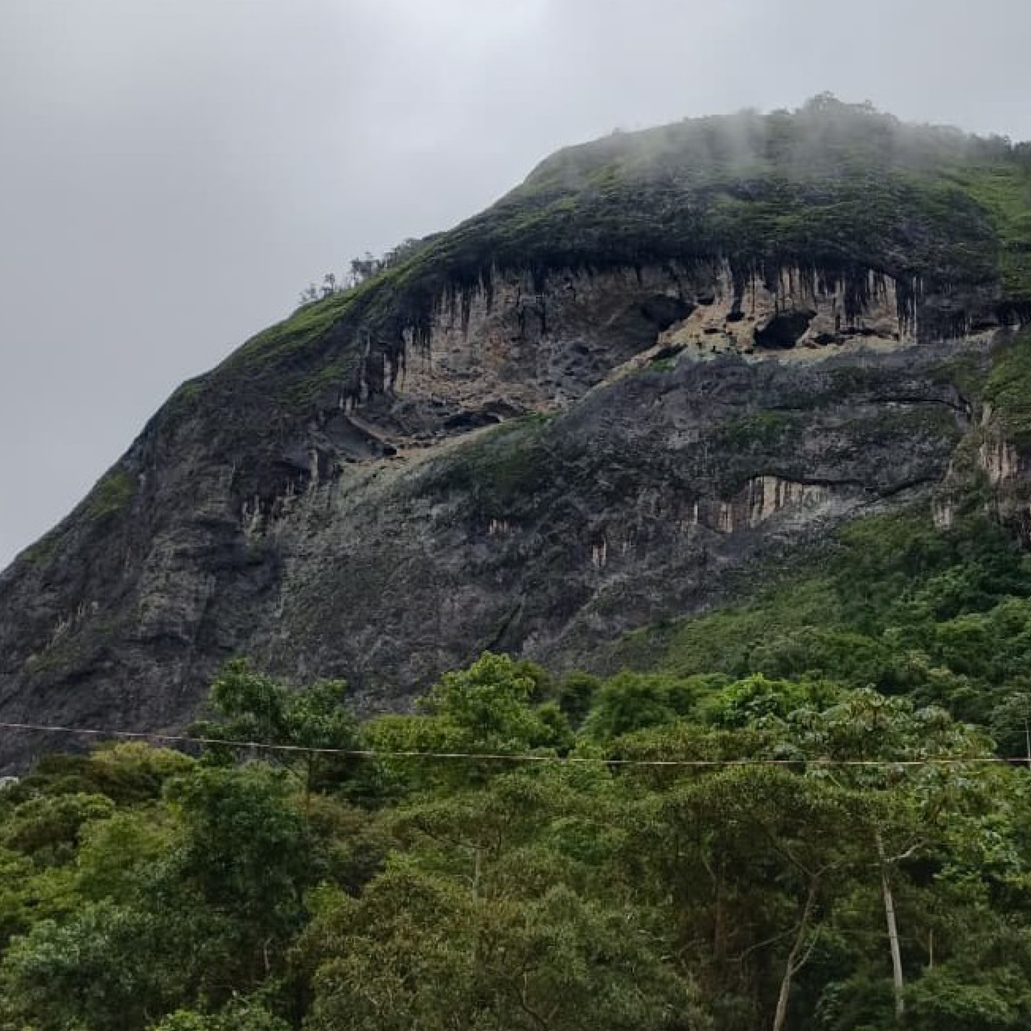 Brazil Pedra Redonda Natural Microlot